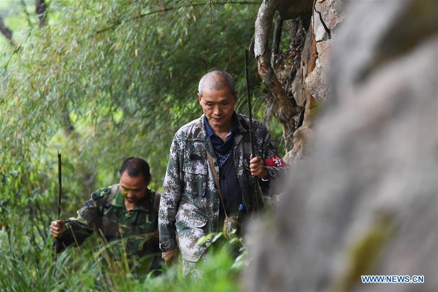 CHINA-CHONGQING-WUXI-FOREST-PROTECTION-RANGER (CN)