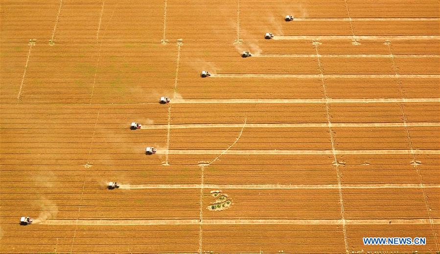 XINHUA PHOTO WEEKLY CHOICES