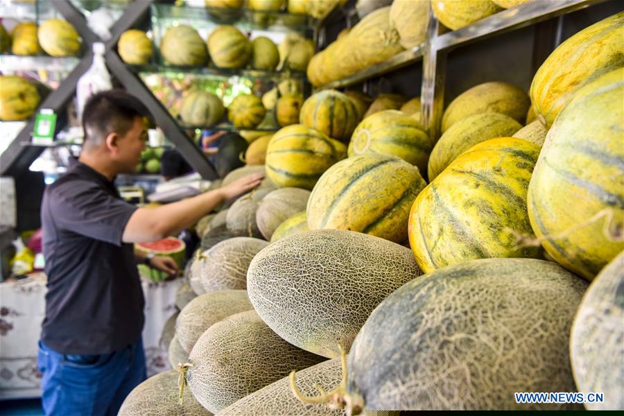 CHINA-XINJIANG-FRUITS (CN)