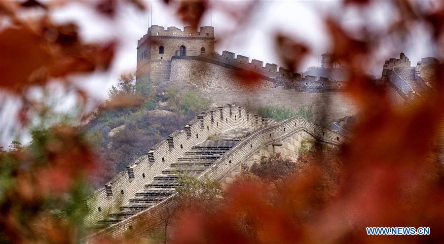CHINA-BEIJING-AUTUMN-LEISURE (CN)
