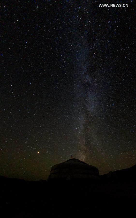 MONGOLIA-HUSTAI NATIONAL PARK-STARRY SKY