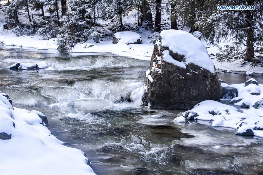 CHINA-XINJIANG-URUMQI-SNOWFALL (CN)
