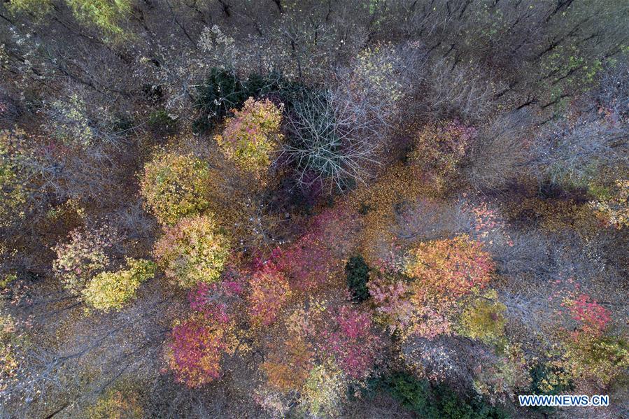 #CHINA-JIANGSU-HUAI'AN-SCENERY (CN)