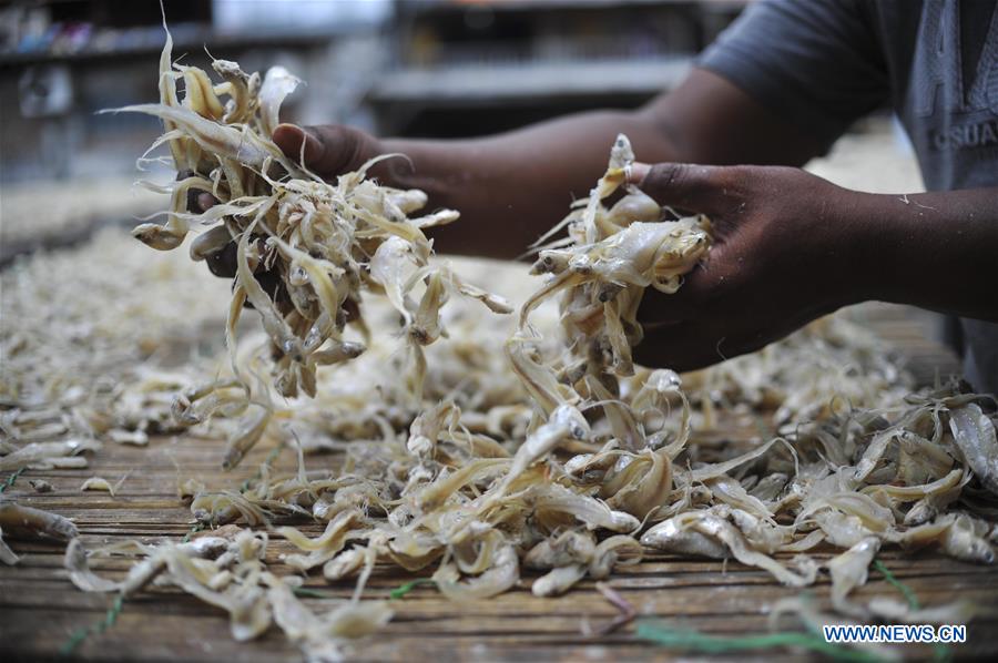 INDONESIA-JAKARTA-DRY FISH-DAILY LIFE