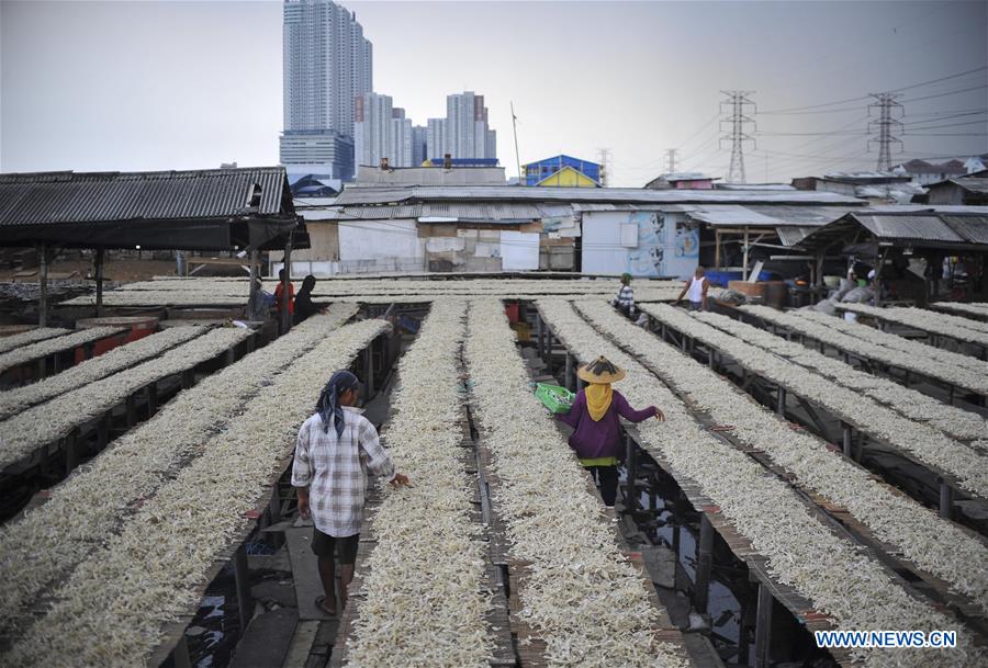 INDONESIA-JAKARTA-DRY FISH-DAILY LIFE