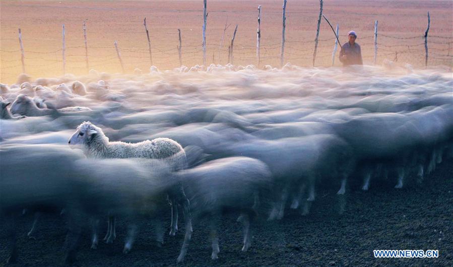 (年終報(bào)道)(3)2018年看大美中國