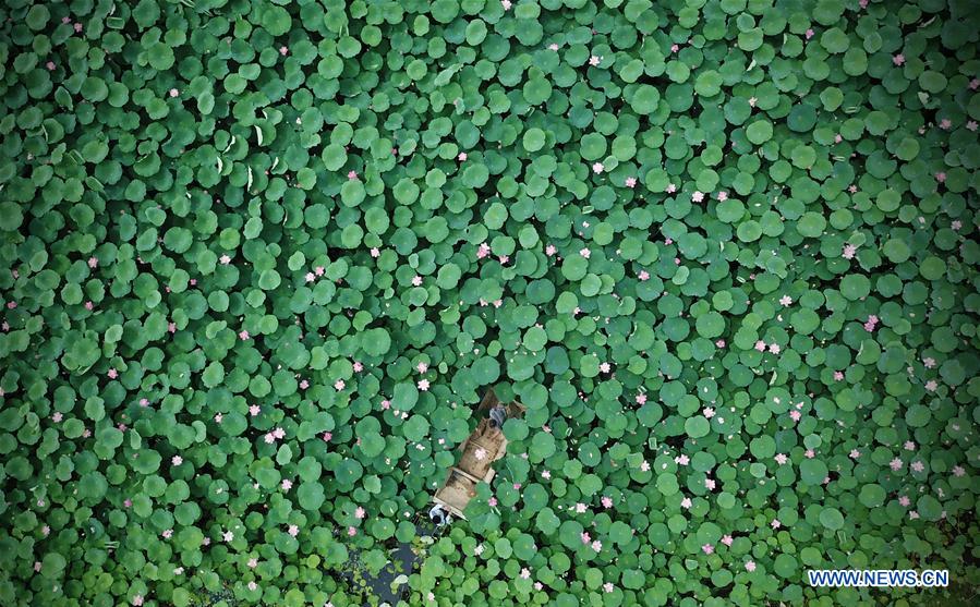 (年終報(bào)道)(30)2018年看大美中國(guó)