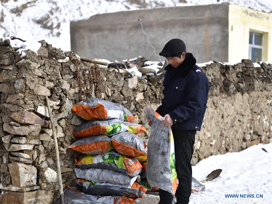 CHINA-QINGHAI-YUSHU-BLIZZARD (CN)