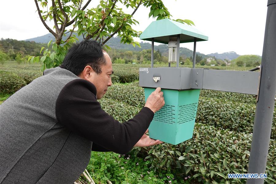 Xinhua Headlines: Technology counselors aid poverty alleviation