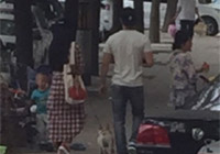 組圖：天天秀恩愛(ài)！范冰冰李晨甜蜜遛狗引圍觀