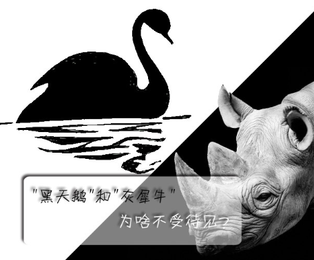"黑天鵝"和"灰犀牛"為啥不受待見？