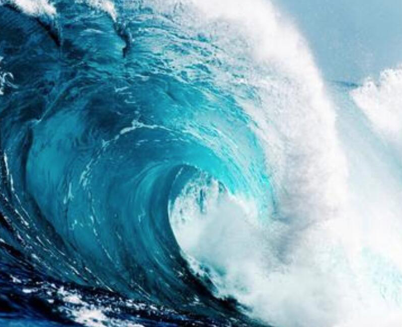 【財經(jīng)翻譯官】浪奔、浪流