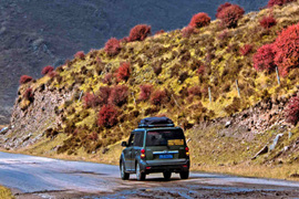 天微涼葉漸黃，最美風(fēng)景是家鄉(xiāng)