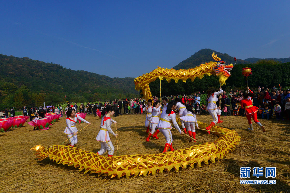 城市“農(nóng)樂節(jié)”映像