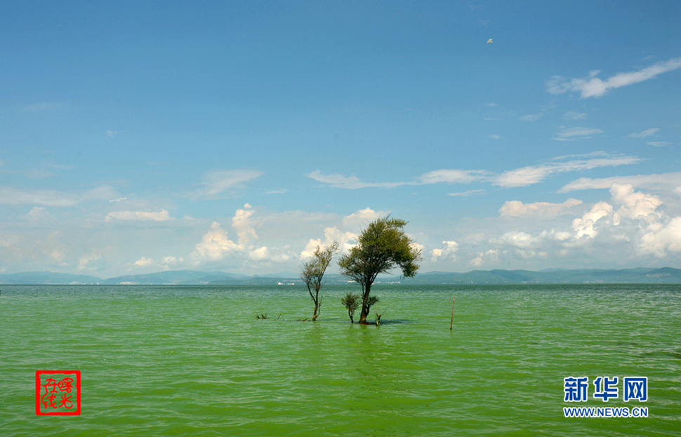 陽光昆明，爽爽的春城