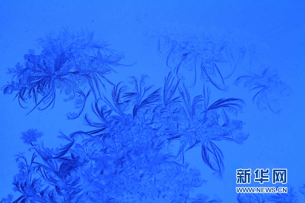 忽如一夜寒冬來，千家萬戶窗花開