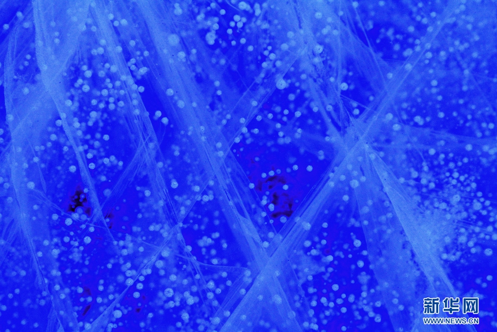 氣泡冰亮晶晶，藍精靈賽繁星