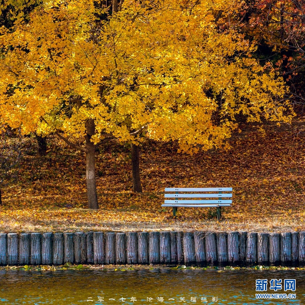 《立冬了秋色還在》