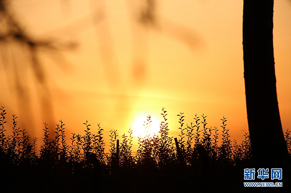 日落西山頭，人約黃昏后