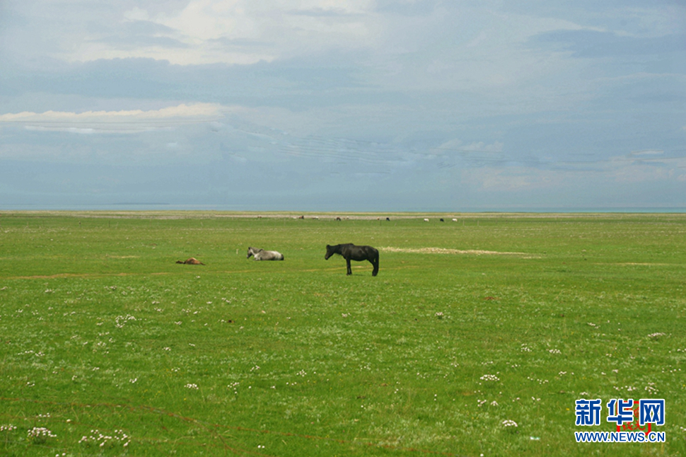 高原放歌之那山、那寺、那朵云