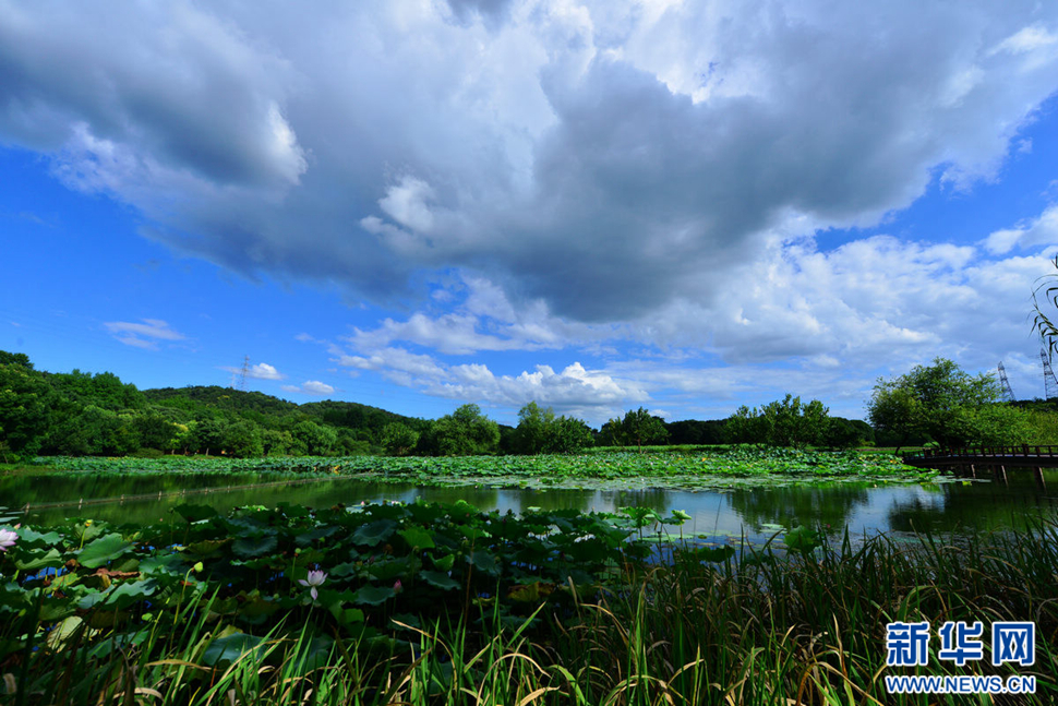 秋高氣爽，行攝八掛田