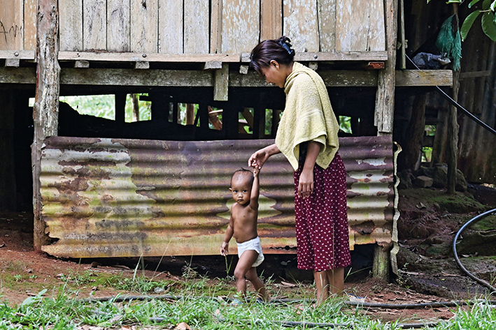 重生之路：珍尼湖的生態(tài)覺(jué)醒