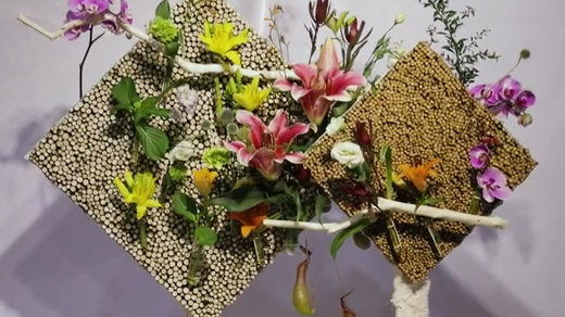 如此動人，和百合來場約會吧！