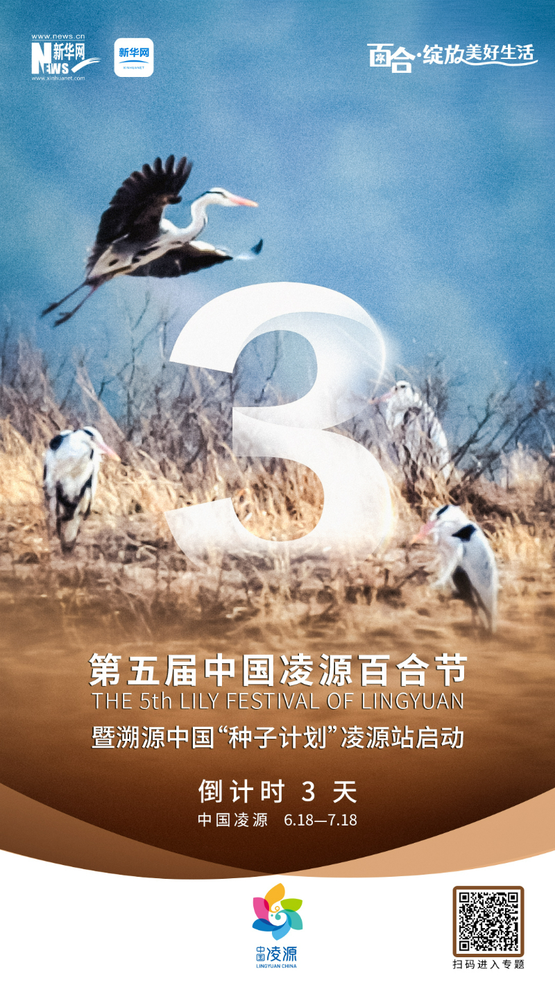 第五屆中國凌源百合節(jié)開幕倒計(jì)時3天