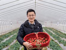 &ldquo;草莓書記&rdquo;劉海川