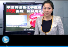 權(quán)威聲音：&ldquo;快時代&rdquo;究竟還有什么可以速成？