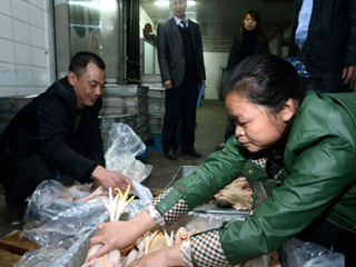 江西宰殺、冷凍積壓禽肉 緩解H7N9禽流感影響