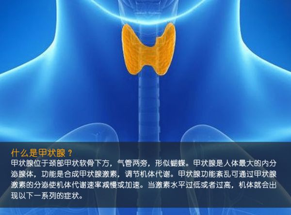 關(guān)注甲狀腺健康，你應(yīng)該知道的那些事