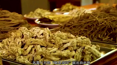 溯源中國名品推薦&middot;岷縣藥王傳