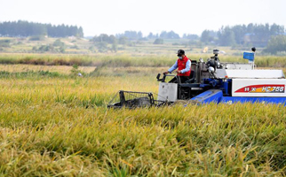 40年，小崗人的18個(gè)&ldquo;第一次&rdquo;