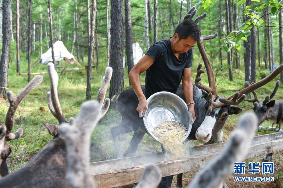 【聚焦脫貧攻堅】這組數(shù)字，來之不易