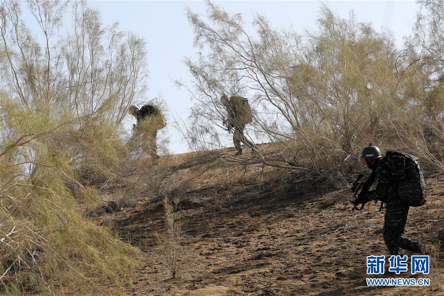 （圖文互動(dòng)）（1）&ldquo;山鷹&rdquo;突擊&mdash;&mdash;武警新疆總隊(duì)&ldquo;山鷹&rdquo;突擊隊(duì)成長記