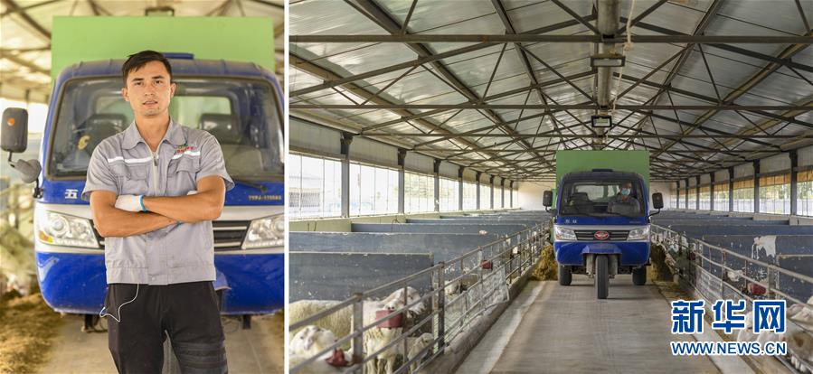 (脫貧攻堅(jiān)·圖片故事)(13)脫貧靠雙手——新疆和田地區(qū)未摘帽縣就業(yè)見聞