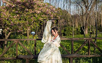 徜徉櫻花花海，來(lái)場(chǎng)動(dòng)漫之旅