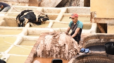 摩洛哥:非斯古城中的皮革染坊