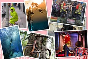 【奇趣周刊】女模與鯊魚共舞 &ldquo;肛門旅館&rdquo;亮相