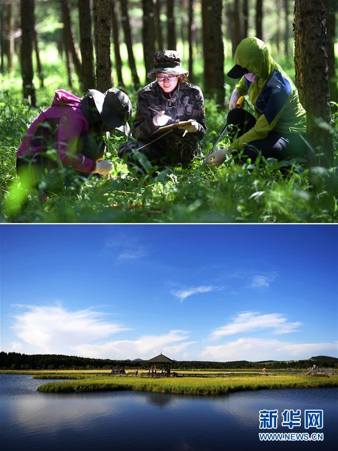 （十九大&middot;讀報(bào)告 話民生）（6）加快生態(tài)文明體制改革，建設(shè)美麗中國