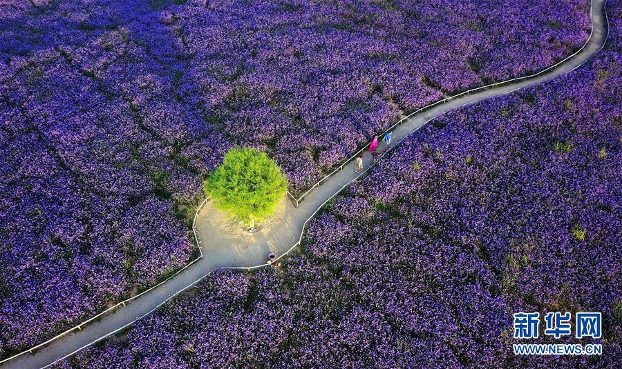 （十九大&middot;讀報告 話民生）（7）加快生態(tài)文明體制改革，建設(shè)美麗中國