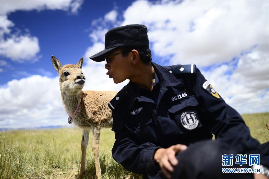 （十九大&middot;讀報告 話民生）（8）加快生態(tài)文明體制改革，建設(shè)美麗中國