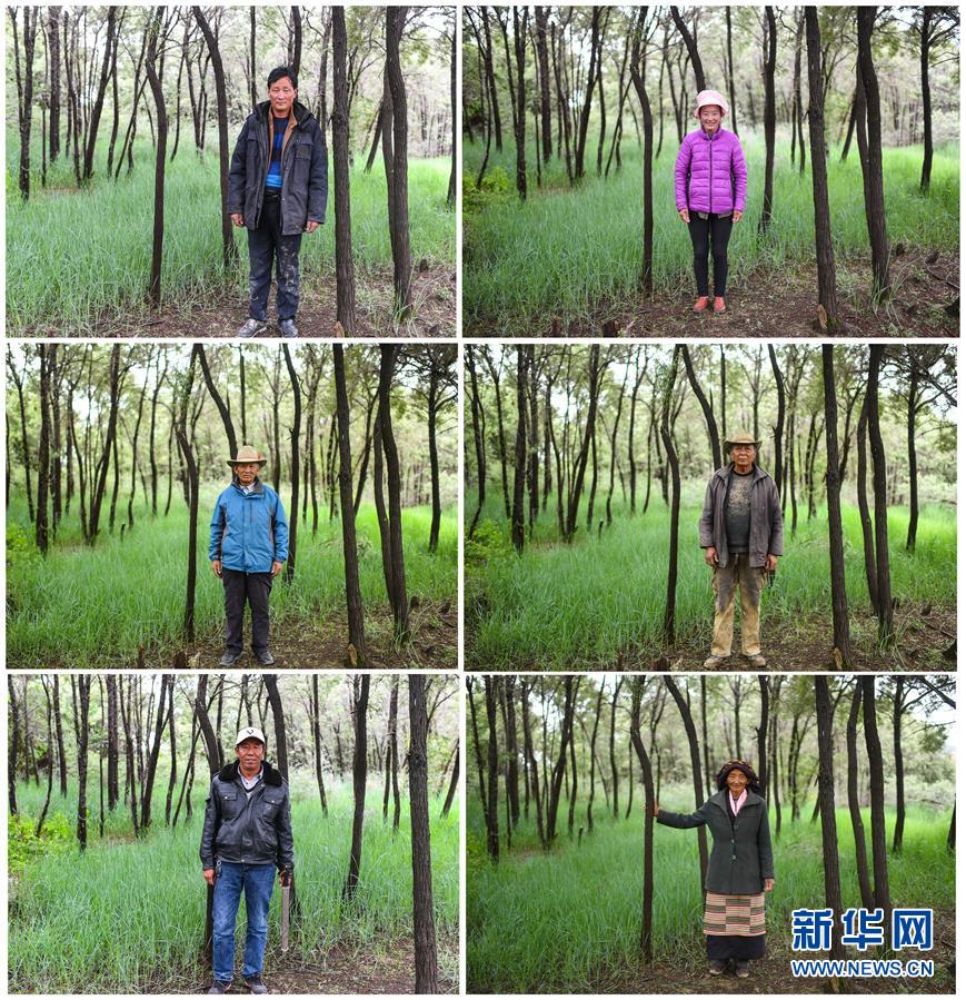 （十九大&middot;讀報(bào)告 話民生）（9）加快生態(tài)文明體制改革，建設(shè)美麗中國