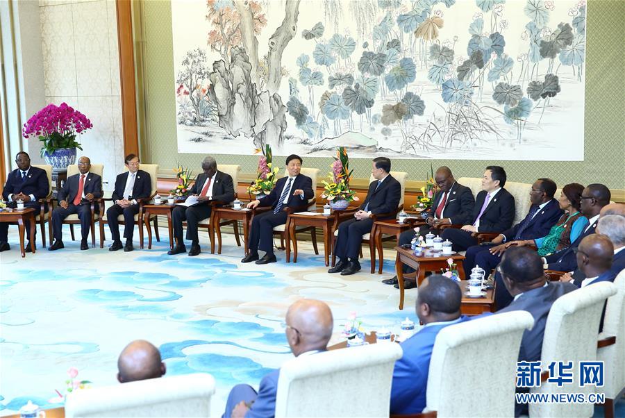 (XHDW)李源潮會(huì)見中非合作論壇約翰內(nèi)斯堡峰會(huì)成果落實(shí)協(xié)調(diào)人會(huì)議非方代表團(tuán)團(tuán)長(zhǎng)