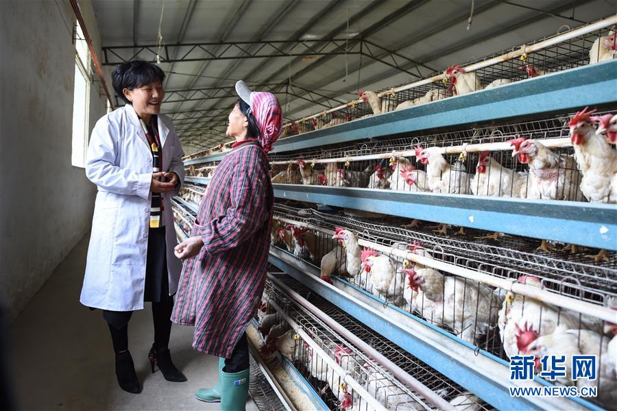 （十九大代表回基層&middot;圖文互動(dòng)）（1）擺脫貧困后，還應(yīng)有更高的精神追求&mdash;&mdash;十九大代表余留芬的&ldquo;宣講時(shí)光&rdquo;