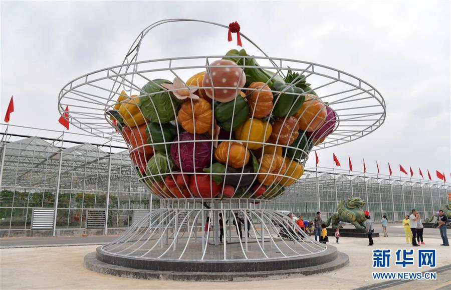 （新時代新氣象新作為&middot;圖文互動）（4）向著小康沖刺&mdash;&mdash;江西脫貧攻堅&ldquo;百日行動&rdquo;掃描 