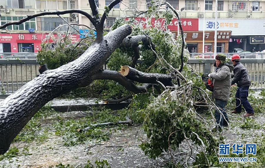 （新華全媒頭條）（7）雨雪冰凍中，他們奮力前行&mdash;&mdash;基層黨員干群抗擊冰雪災(zāi)害紀實