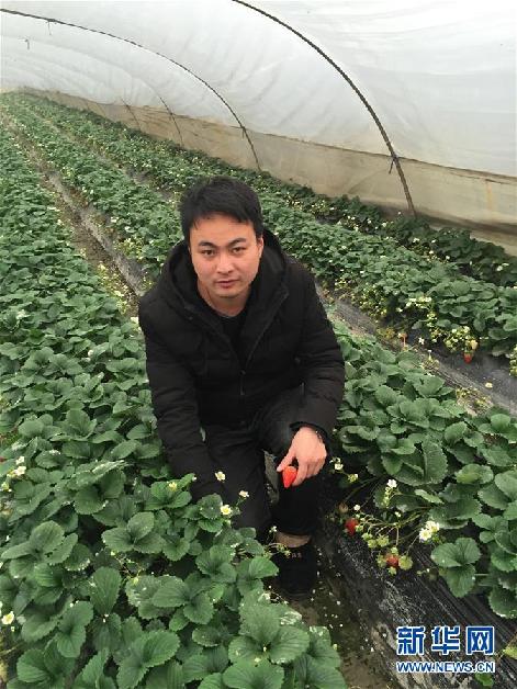 (圖文互動(dòng))(2)那些因農(nóng)村路改變的青春——三位80后青年的鄉(xiāng)村奮斗路