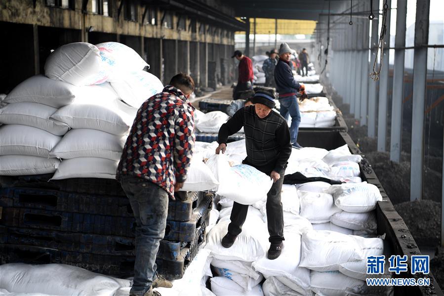 (新春走基層)(1)安徽:農(nóng)資“春運(yùn)”助春耕